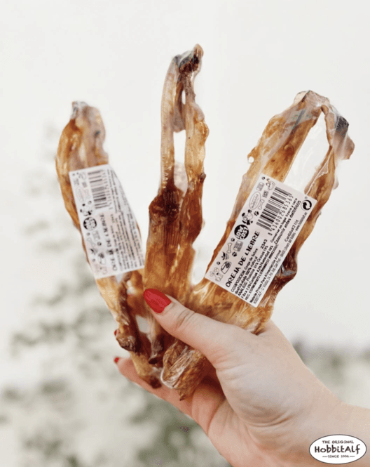 Oreja de conejo sin pelo