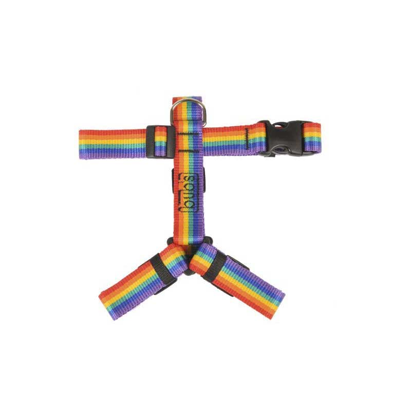bubs-arnes-not-pull-grande-rainbow.jpg