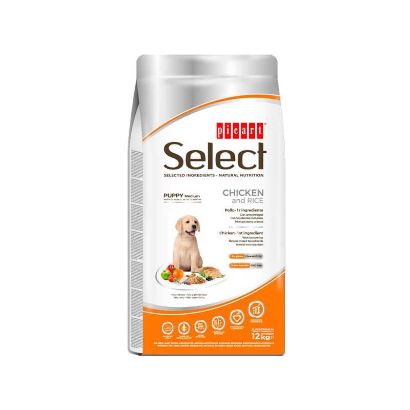 picart-select-puppy-medium.jpg