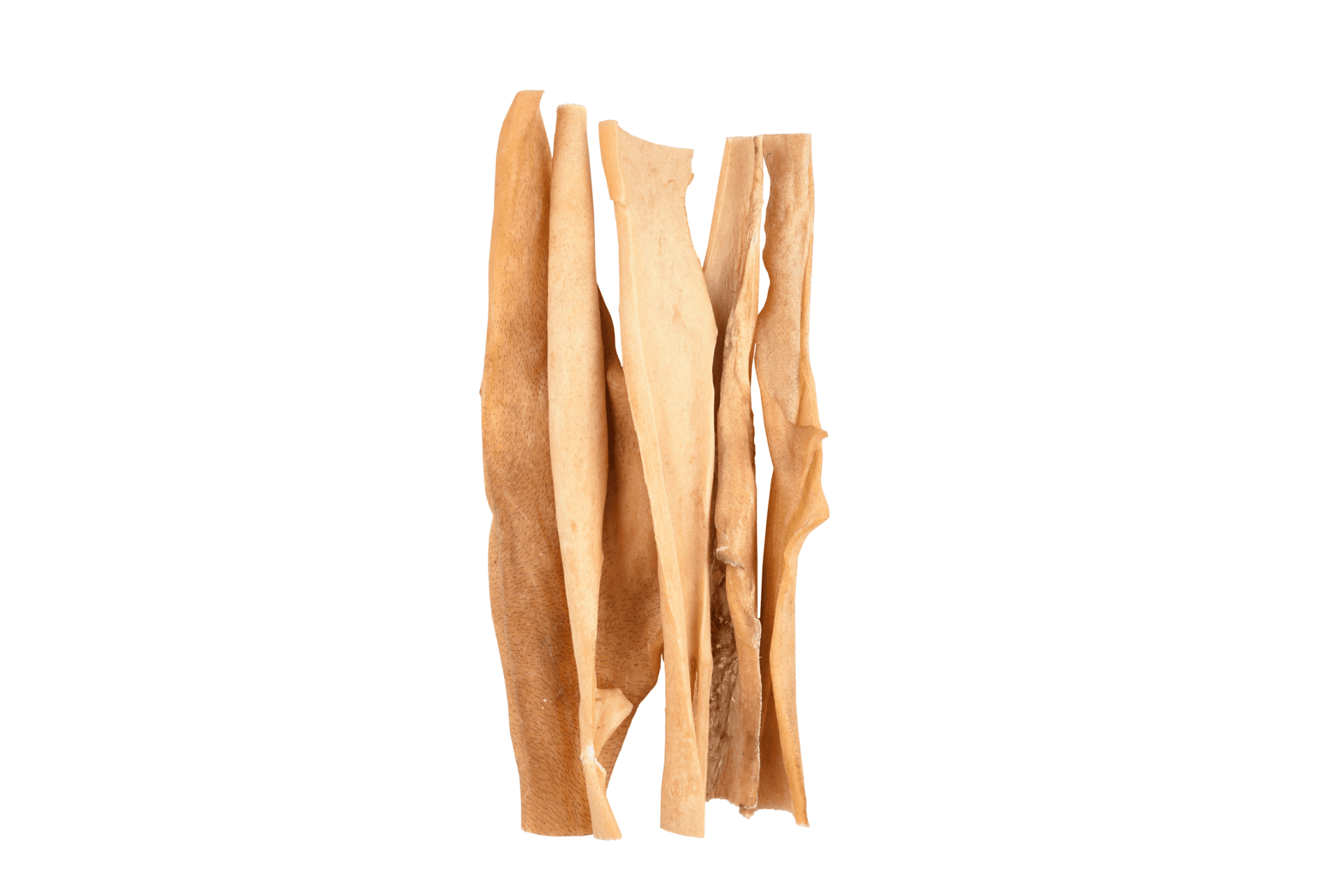 Piel de Cabeza de Búfalo 25cm – Snack Natural para Perros