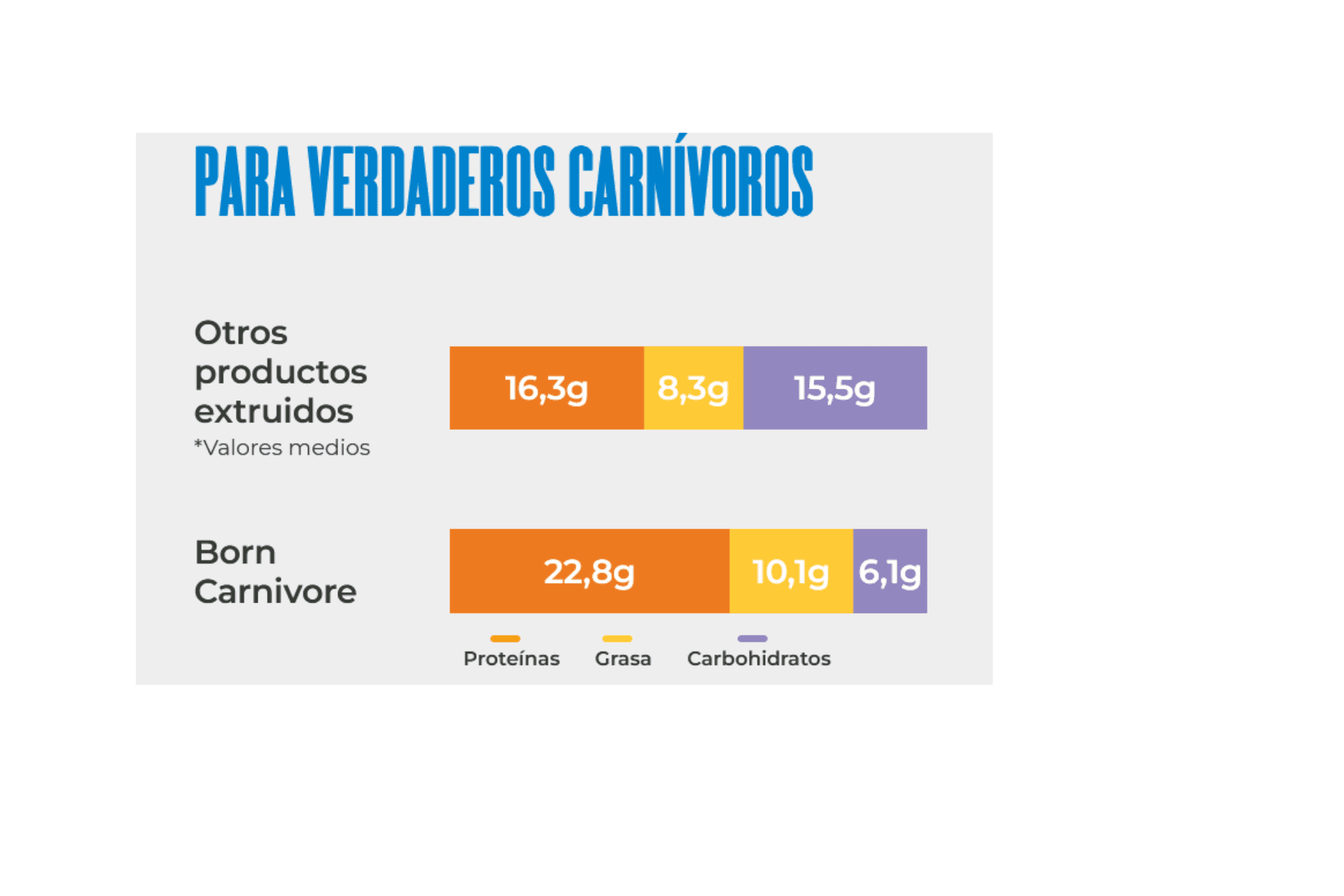Schesir Pienso Born Carnivore