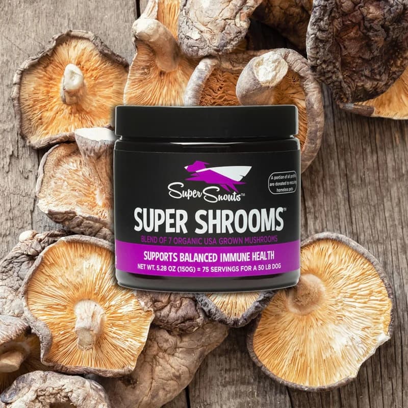 Super Snouts Super Shrooms – Regula y Refuerza el Sistema Inmune. Ayuda con alergias para Perros y Gatos (75g) 2