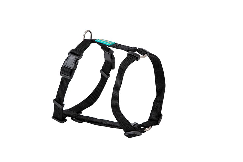 Arnés en H de nylon negro Freedog